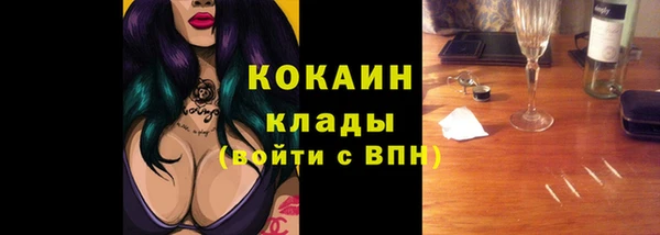 шишки Новокубанск