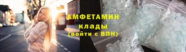 шишки Новокубанск