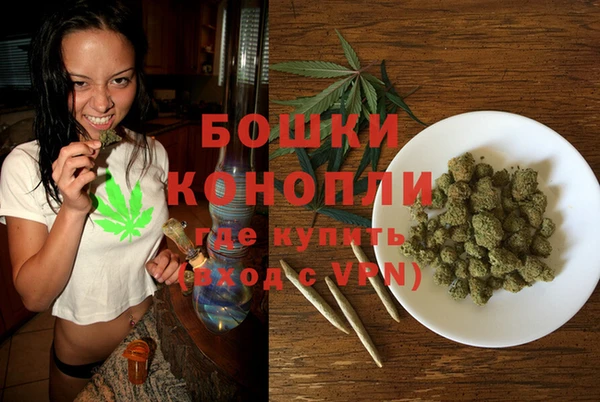 шишки Новокубанск